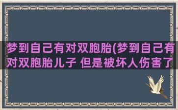 梦到自己有对双胞胎(梦到自己有对双胞胎儿子 但是被坏人伤害了)